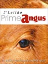 Prime Angus