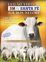 Virtual Nelore 3M