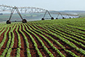 Agricultura