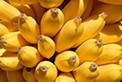 Fruticultura